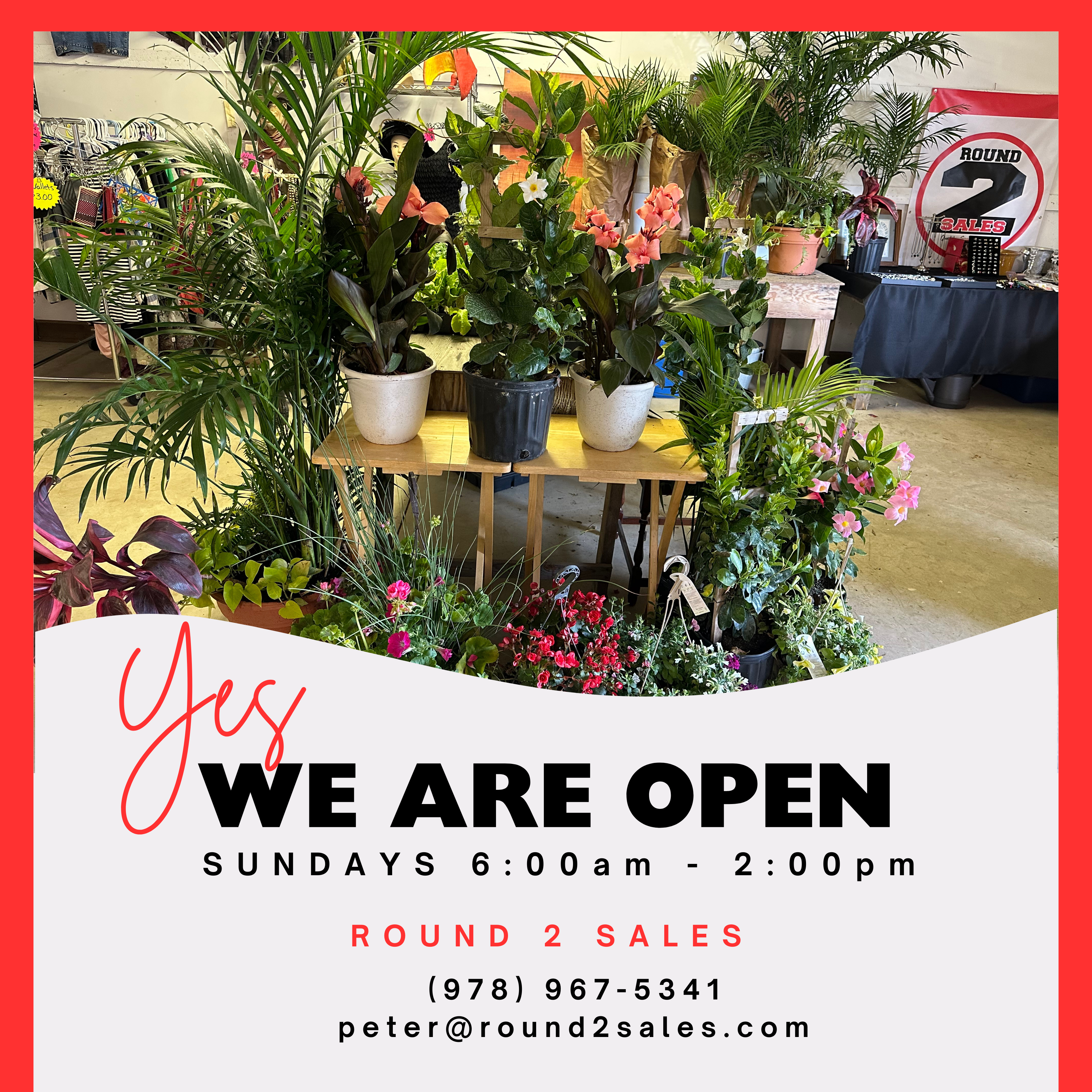 Green and White Photo Retail Back to Business Yes We Are Open Instagram Post (1)