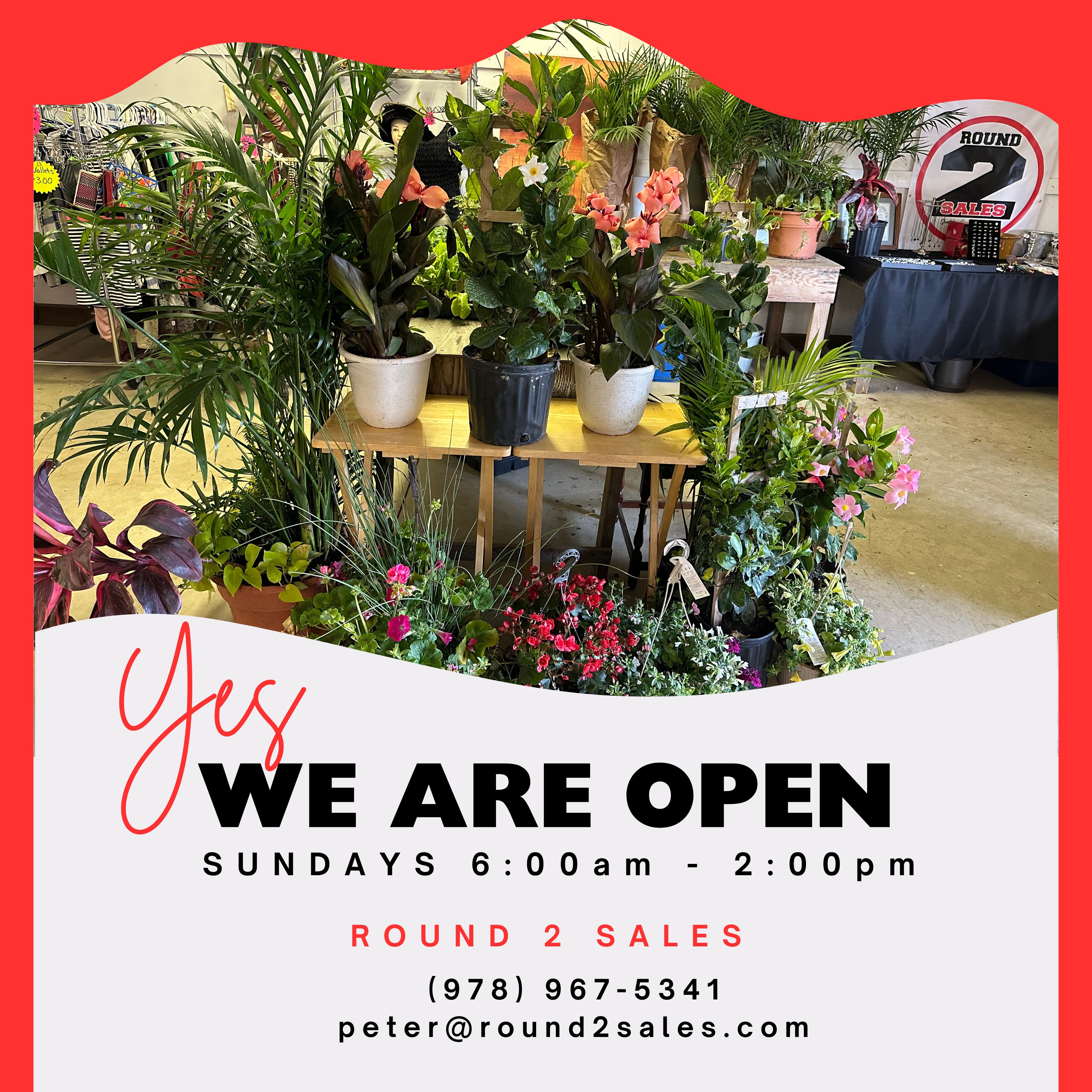 Green and White Photo Retail Back to Business Yes We Are Open Instagram Post